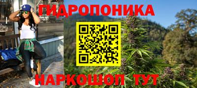 спиды Канаш