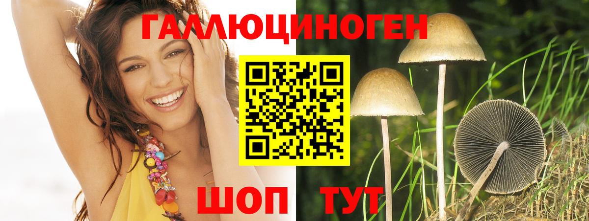 Псилоцибиновые грибы прущие грибы  Вход с VPN  Коряжма 